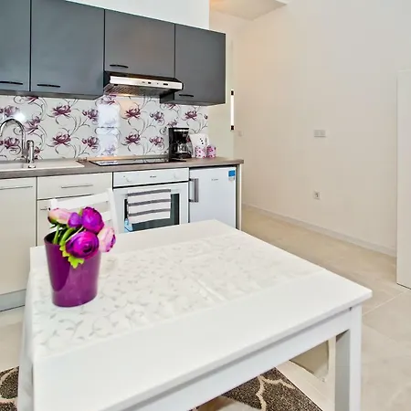 Ivusic Apartment *
